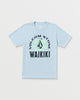 Carolina Blue
